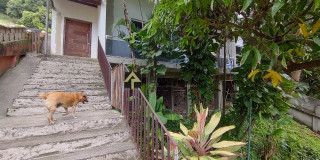 Casa 6 quartos Joá