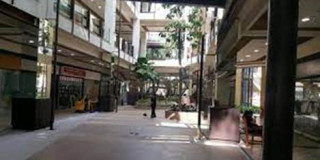 Comercial/Industrial  Barra da Tijuca