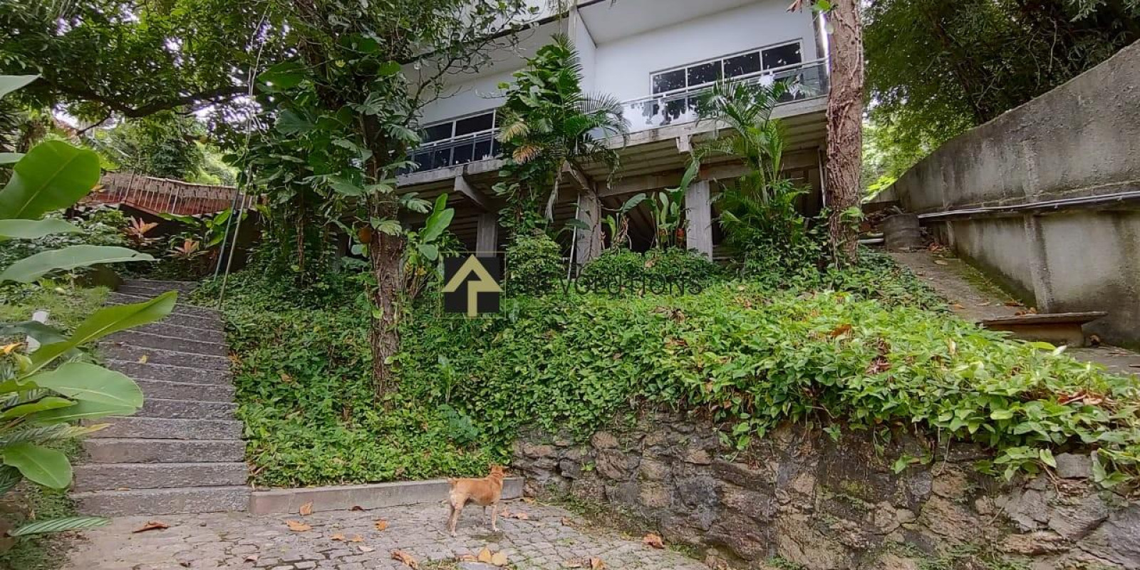 Casa 6 quartos Joá